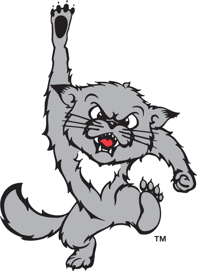 Cincinnati Bearcats 1995-2005 Secondary Logo t shirts iron on transfers